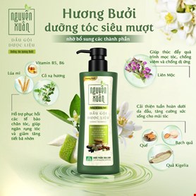 Dầu Gội Dược Liệu Nguyên Xuân Dưỡng Tóc Hương Bưởi 450ml